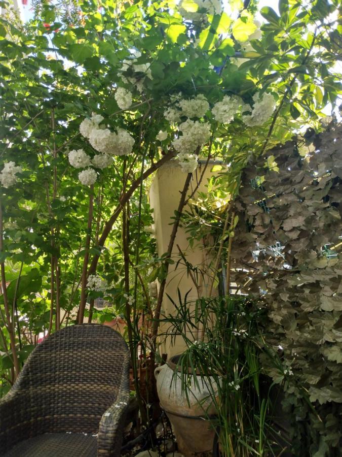My Sunny Low Home Patras Esterno foto